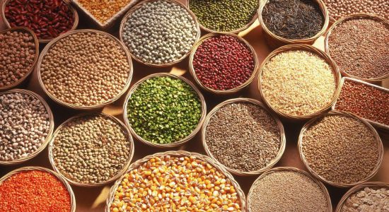 Different Types of Grains
