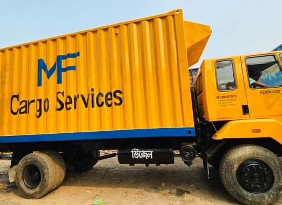 MF cargo service truck picture